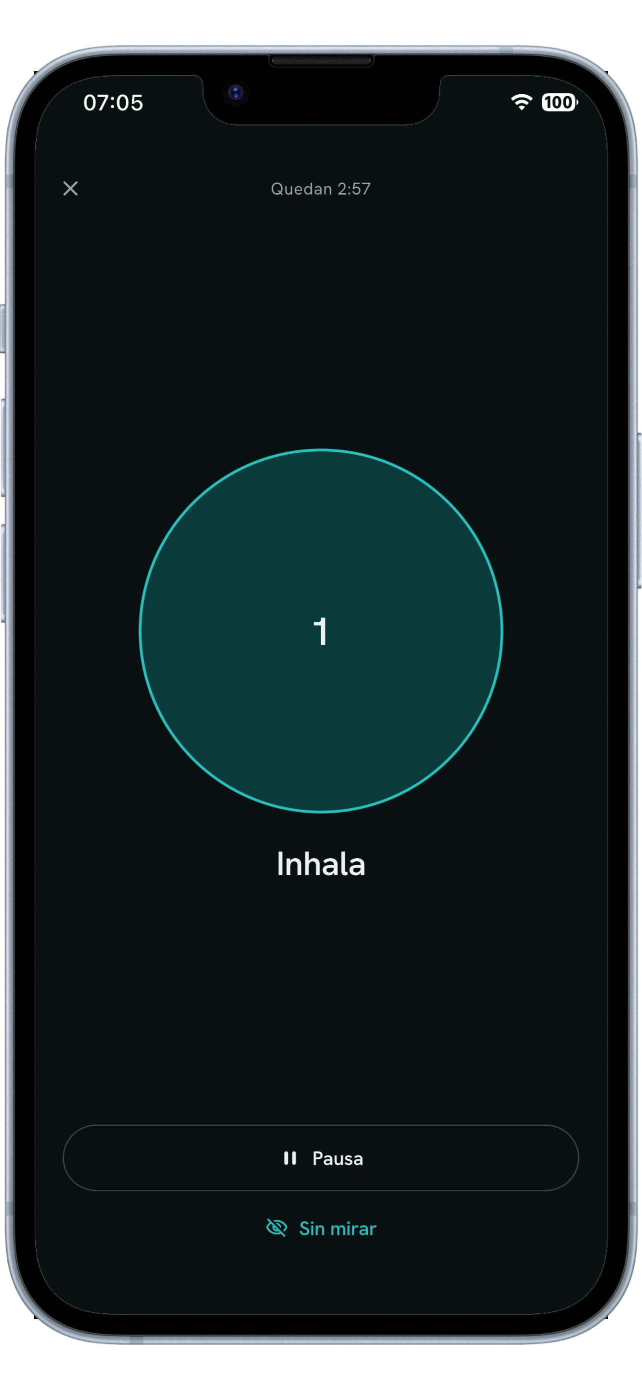 Breathing session screen